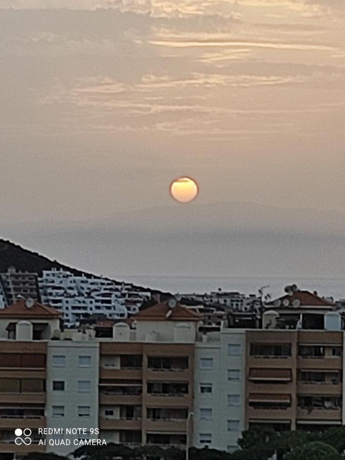 Castle Harbour 425 Lägenhet Los Cristianos  Exteriör bild